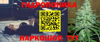 каннабис Славгород