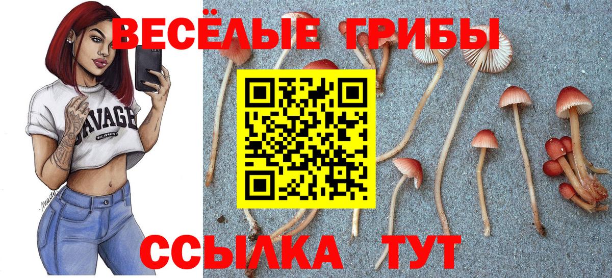 Галлюциногенные грибы мицелий Новокубанск